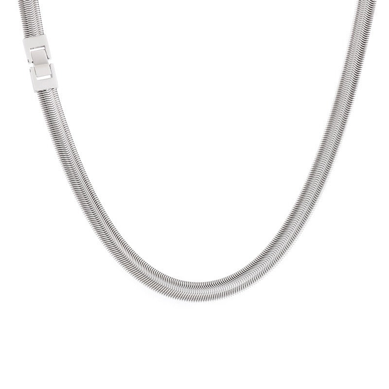 Hip-Hop Flat Snake Chain Necklace & Bracelet – Stainless Steel Herringbone Jewelry for Men KN228487