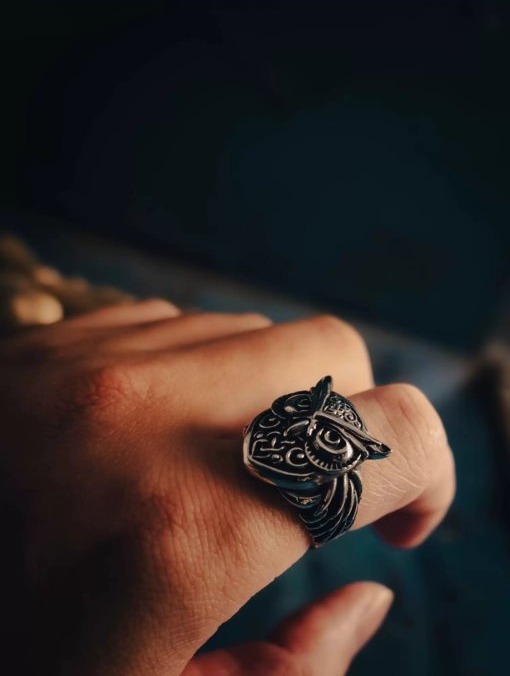 Kemstone Titanium Steel Celtic Owl Ring – Vintage Symbol of Wisdom NWR-523323