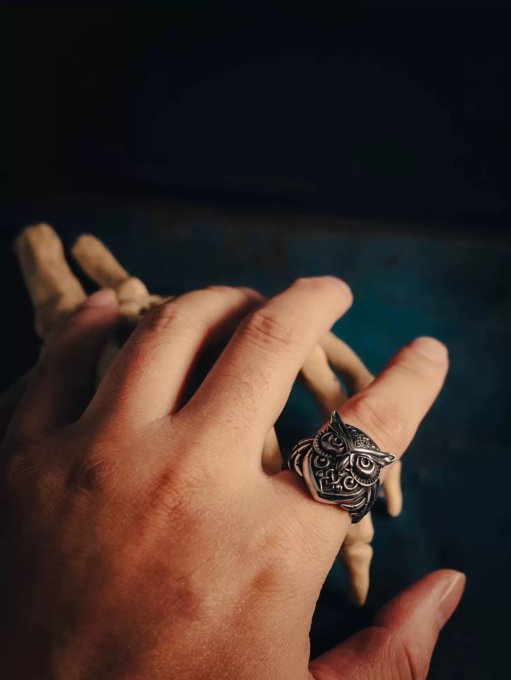 Kemstone Titanium Steel Celtic Owl Ring – Vintage Symbol of Wisdom NWR-523323