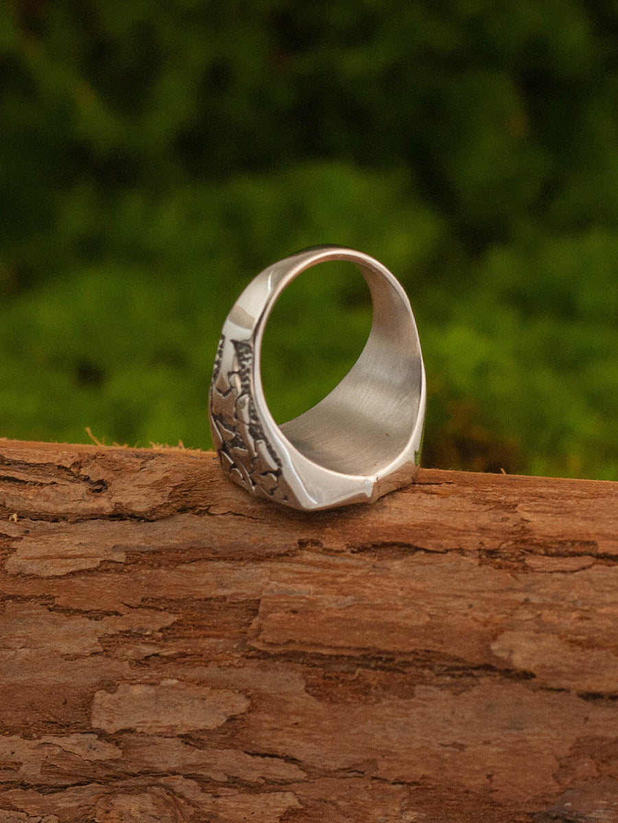 Kemstone Titanium Steel Nautical Compass Ring for Men – Vintage Maritime Design NW-JZ149