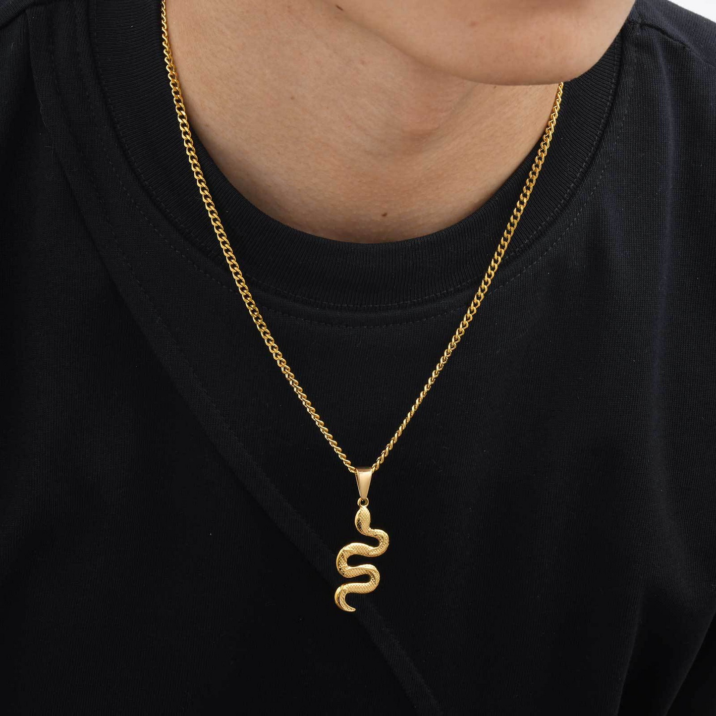 Kemstone Stainless Steel Snake Pendant Necklace – Hip Hop Street Style Chain for Men NC-2221